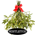 Mistletoe is a perfectly festive holiday fragrance that fans of fresh woodsy scents will find appealing any time of year. It begins with top notes of invigorating eucalyptus and camphor, while middle notes of pine and fir are reinforced by a touch of spiced clove. Cedarwood and patchouli in the base ground this cheery scent.