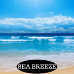 Scent: Salty waves, beach, strong
Mixture: Natural, Liquors, Fresh
Good in: Bathroom, bedroom, kitchen