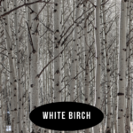 White Birch is blended with notes of cypress, spruce, and eucalyptus create this strong year round pine scent.